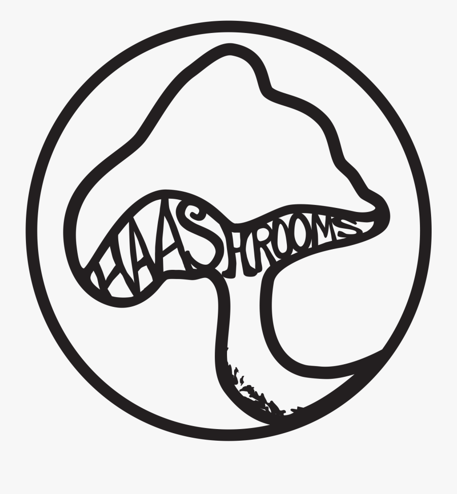 Line Art, Transparent Clipart