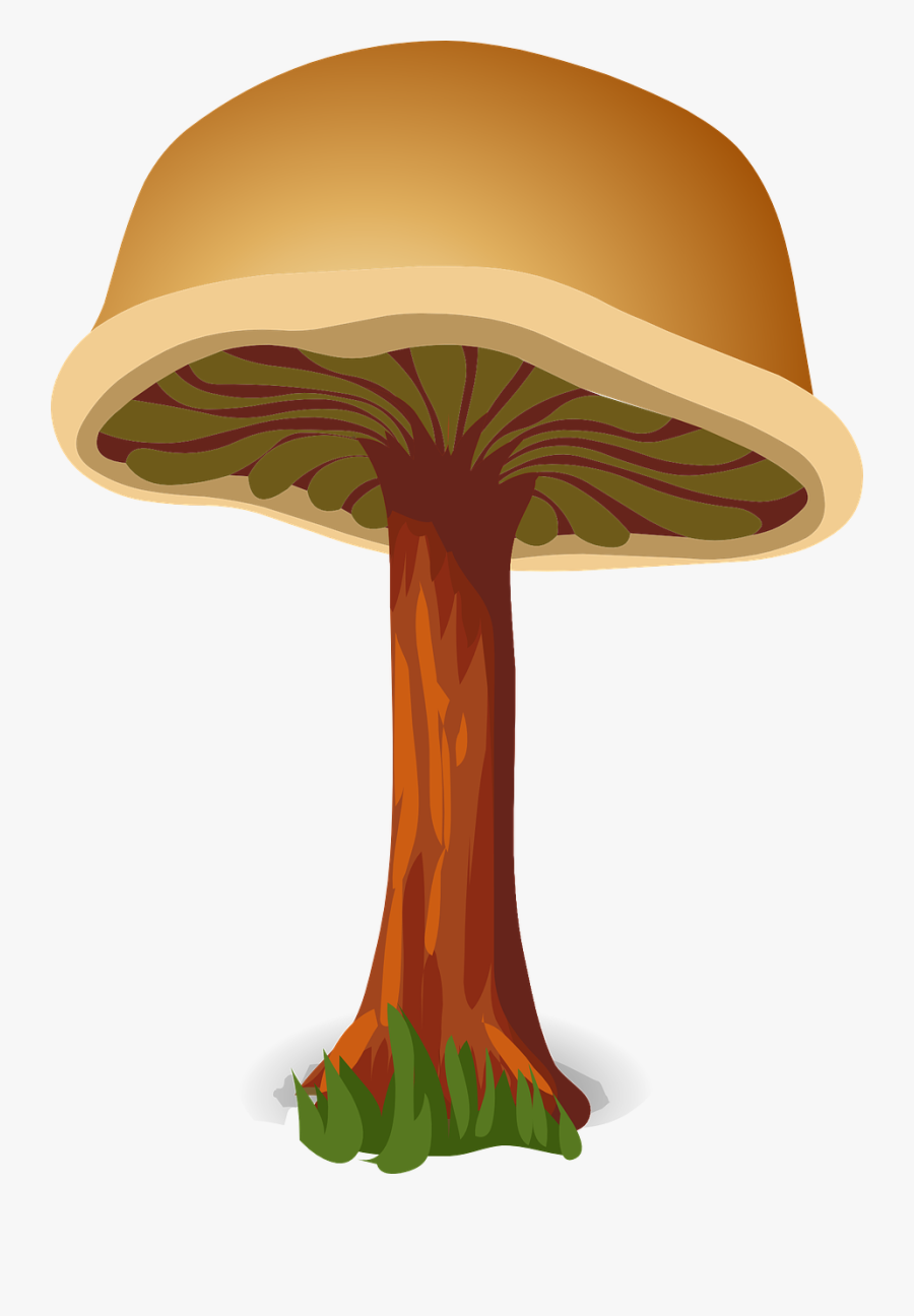 Mushroom Brown Harmless Free Picture - Mushrooms On Wood Clipart, Transparent Clipart