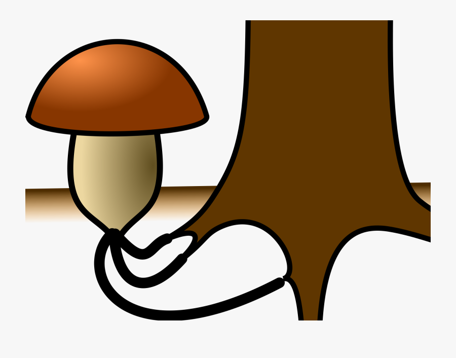 [thumbnail For Mycorrhizal Symbiosis Fungus By Natr - Mycorrhiza Symbiose, Transparent Clipart
