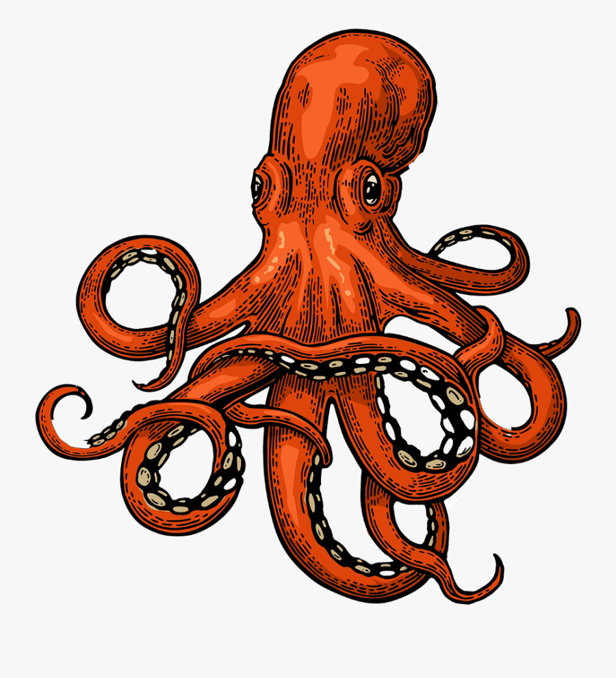 Clip Art Octopus Photography - Octopus Illustration, Transparent Clipart