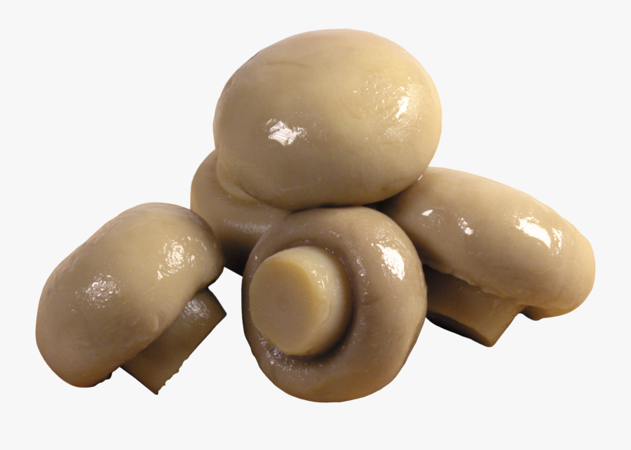 Mushroom Png Image - Mushroom Png Transparent, Transparent Clipart