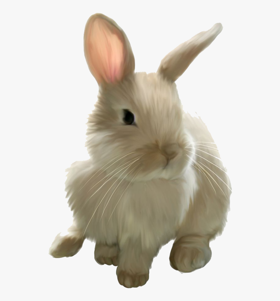 Png Images Transparent Download - Bunny Png, Transparent Clipart