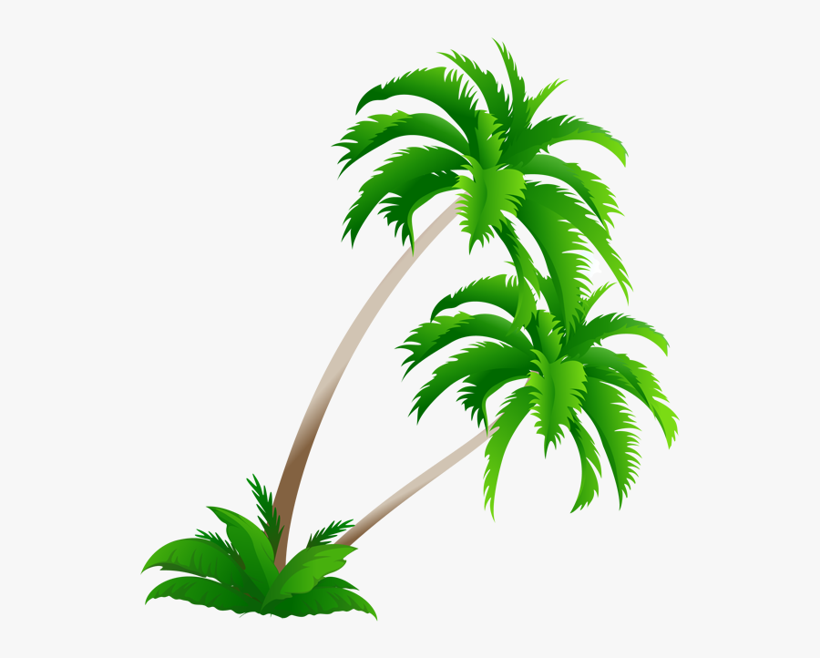Hawaiian Palm Trees Vector, Transparent Clipart