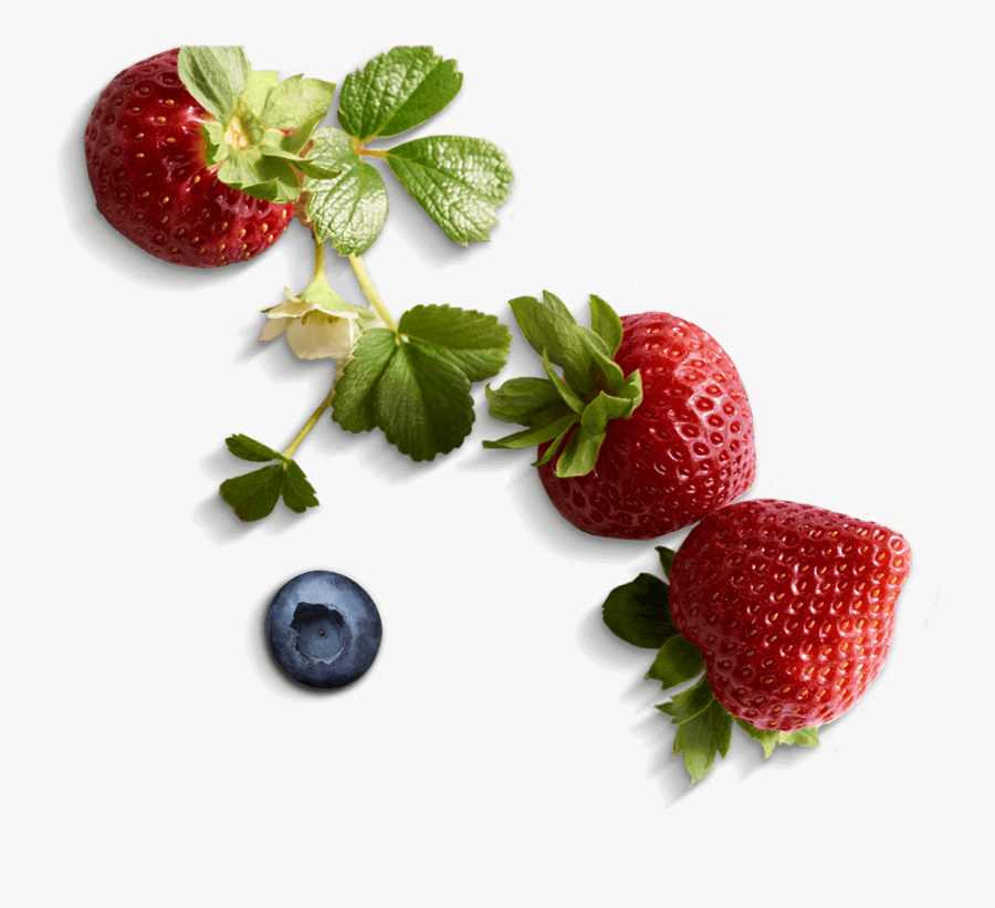 Bowl Of Strawberries Png - Fair Trade Driscoll's Berries, Transparent Clipart