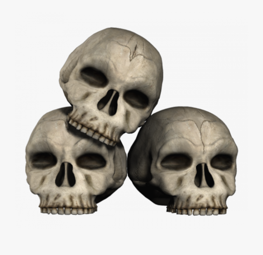 Anthropology Clipart, Transparent Clipart