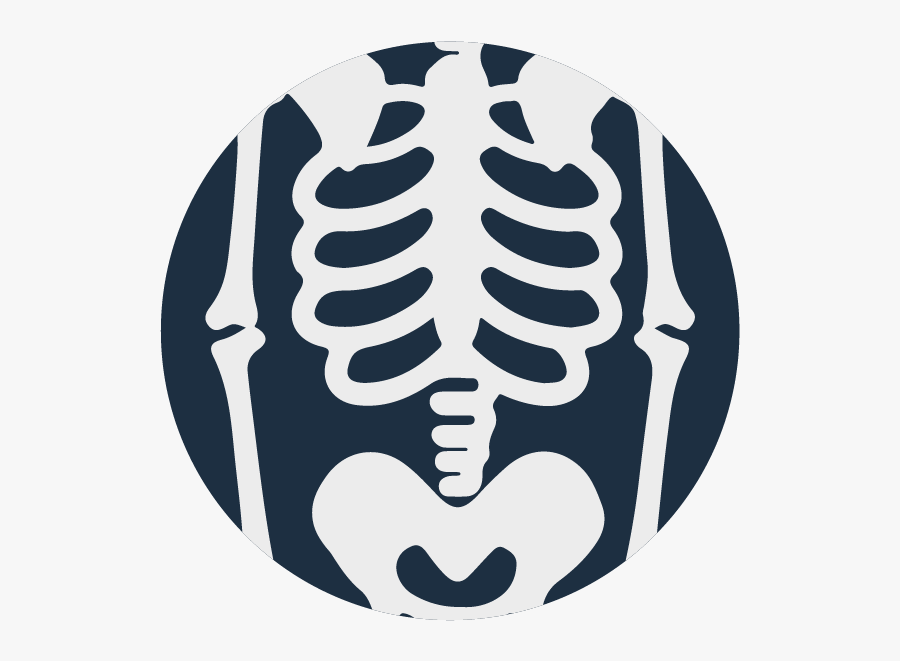 Crime Clipart Forensic Anthropology - Forensic Anthropology Png, Transparent Clipart