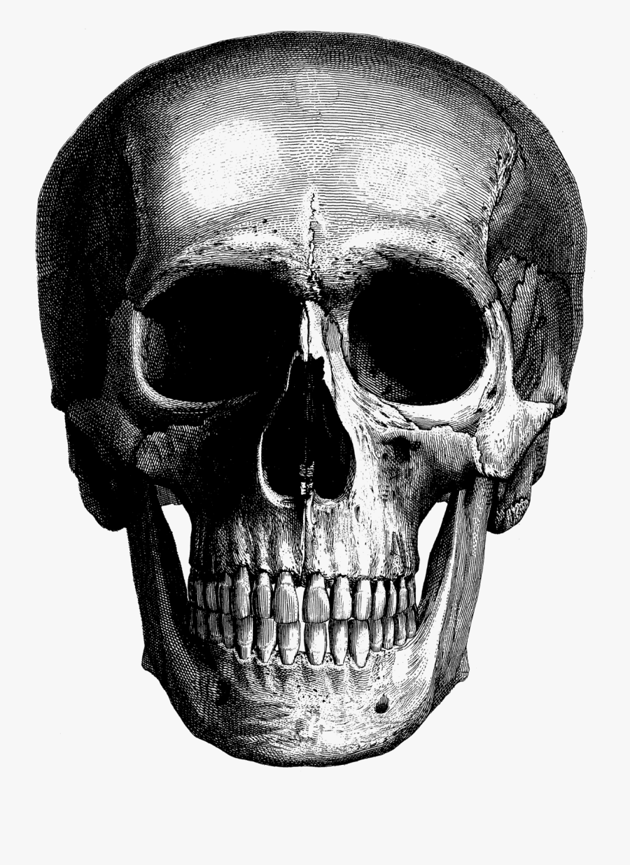 Pin By Crafty Annabelle On Halloween Clipart, Transparent Clipart