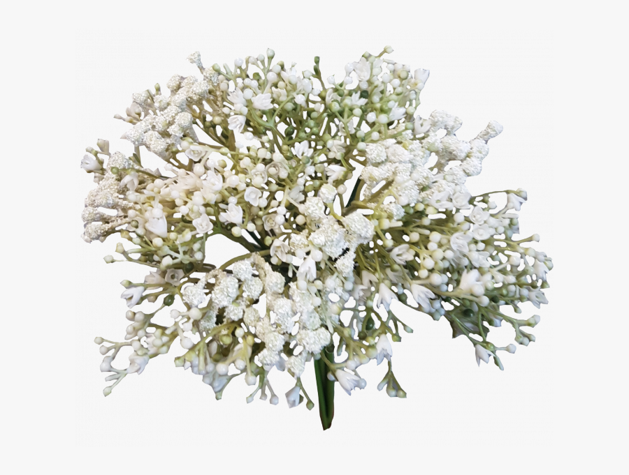 Baby Breath Flowers Png, Transparent Clipart