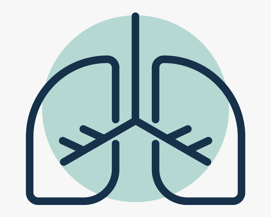 Lung Health In Children Born Prematurely, Transparent Clipart