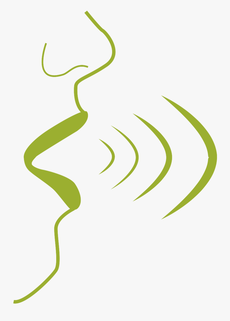 Illustration, Transparent Clipart