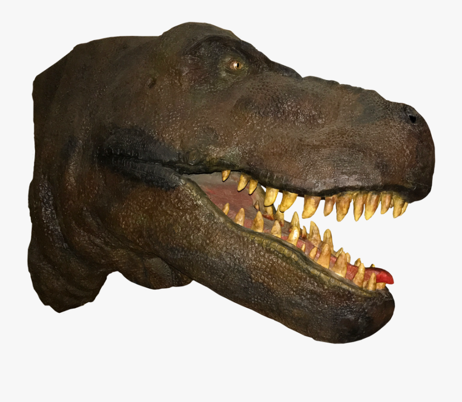 T Rex Head Png, Transparent Clipart