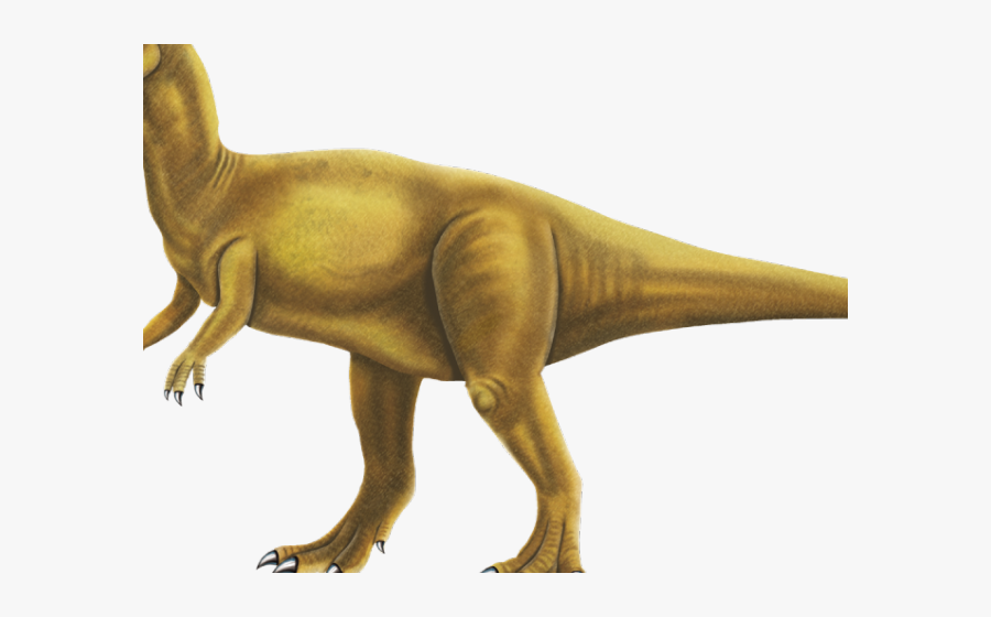 Clipart Dinosaurs, Transparent Clipart