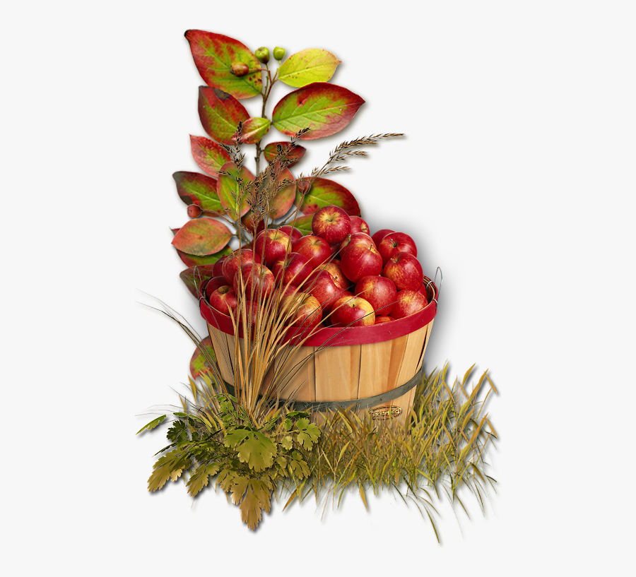 Apples In A Basket, Transparent Clipart
