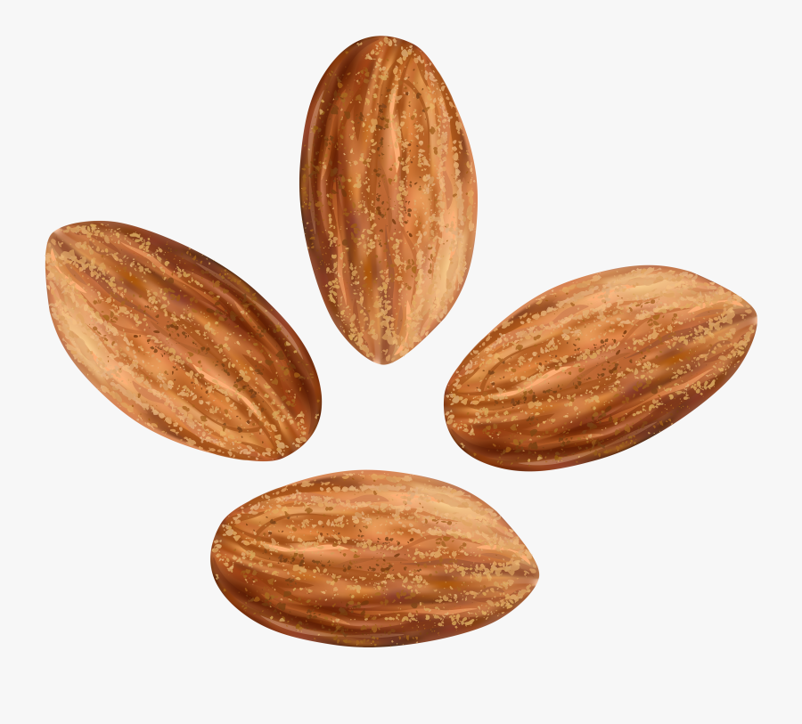 Almonds Transparent Clip Art - Almonds Clipart, Transparent Clipart