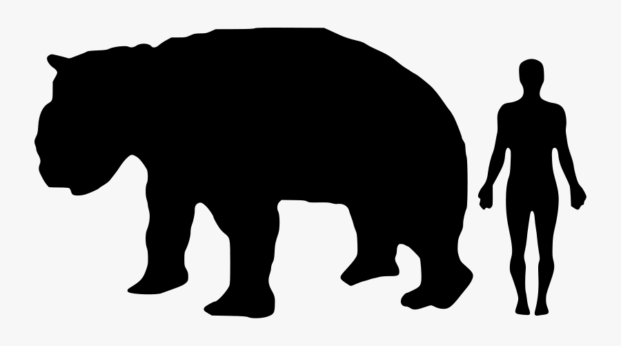 Wombat Silhouette At Getdrawings - Giant Panda Compared To Human, Transparent Clipart