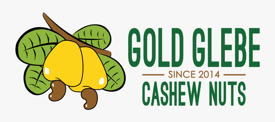 Gold Glebe Raw Home - Cartoon, Transparent Clipart