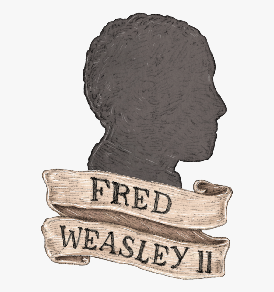 Harry Potter Wiki - Illustration, Transparent Clipart