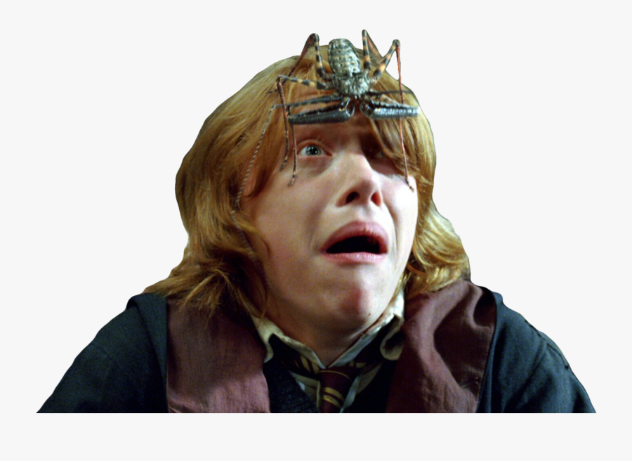 Transparent Ron Weasley - Harry Potter, Transparent Clipart