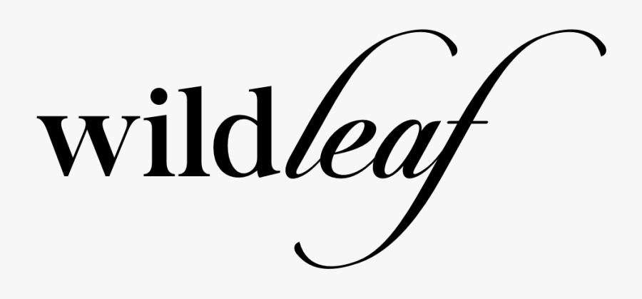 Wildleaf - Calligraphy, Transparent Clipart