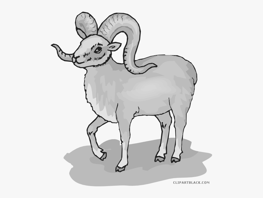 Sheep Clipart Horn Clipart - Clipart Big Horned Sheep, Transparent Clipart