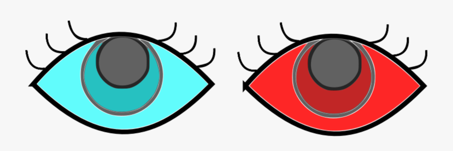 Circle,invertebrate,eye - Portable Network Graphics, Transparent Clipart