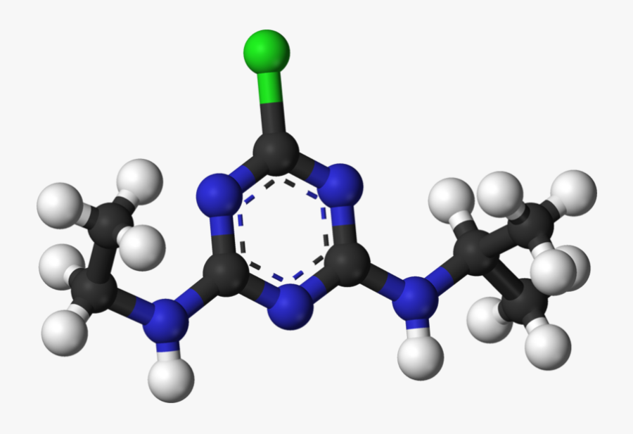 Mélanine Protéine, Transparent Clipart