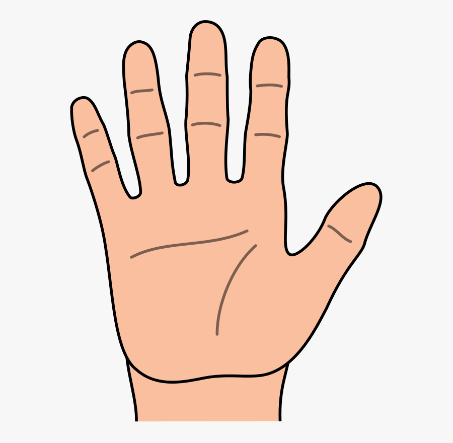 Clipart Of Represent, Hand And Hands - Hands Four Fingers Clipart, Transparent Clipart