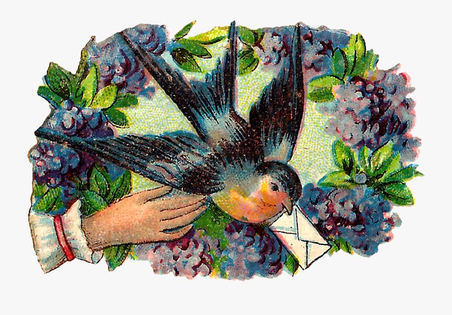 Illustration, Transparent Clipart