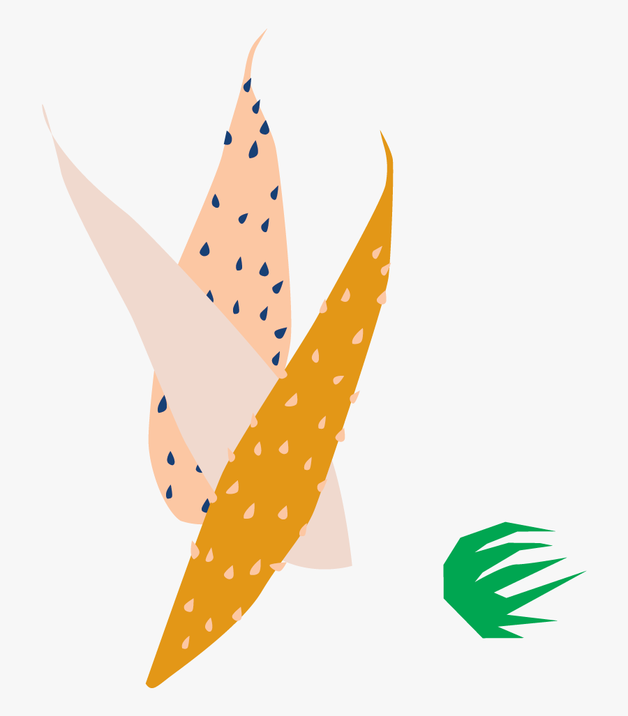 Illustration, Transparent Clipart