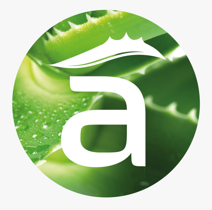 Graphic Design, Transparent Clipart