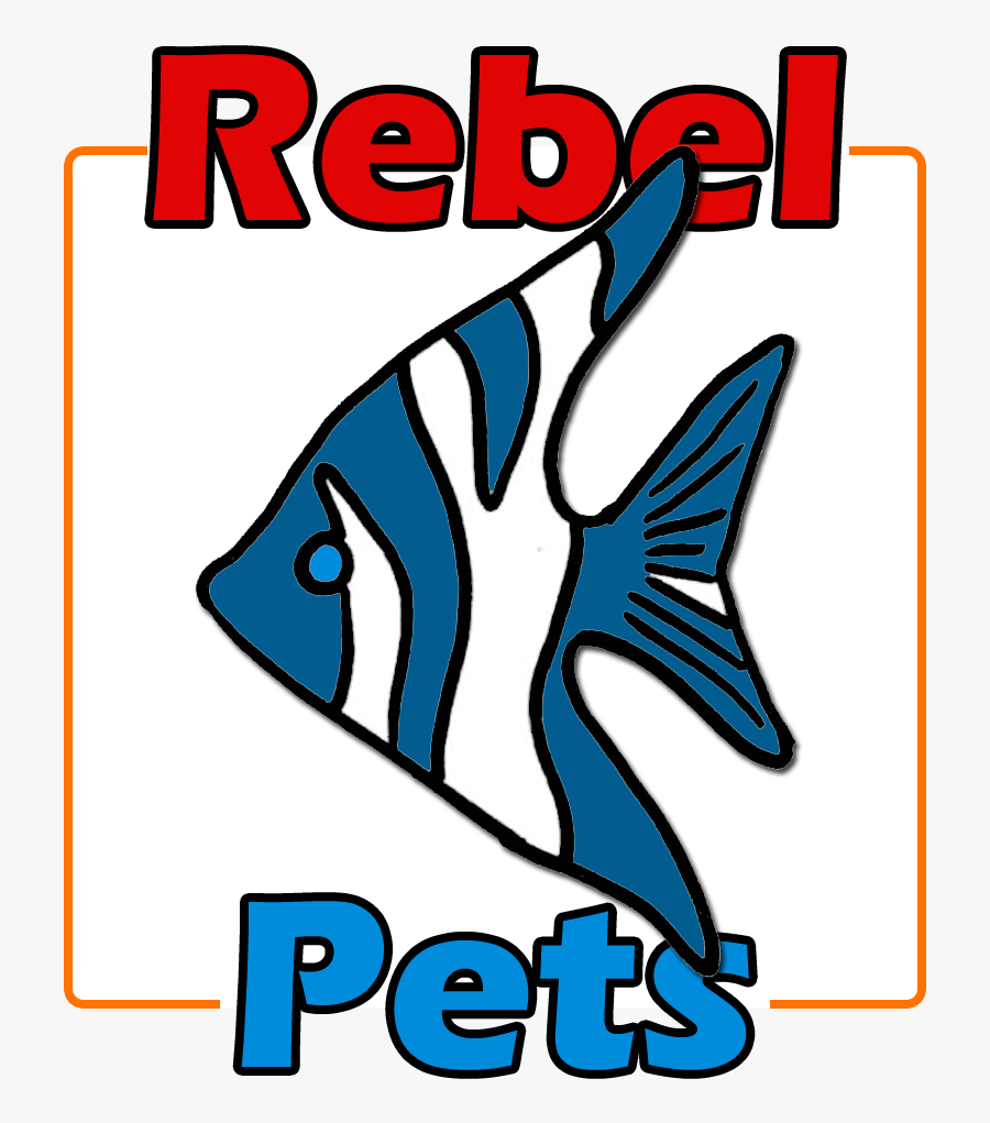 Transparent Fish Feeder Clipart - Poster, Transparent Clipart