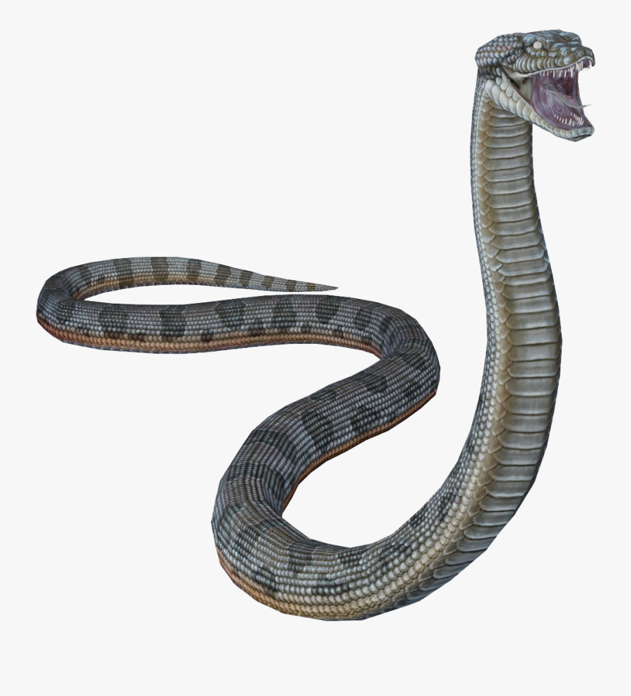 #snake #anaconda #forest #nature #foreground #background - Indian Cobra, Transparent Clipart