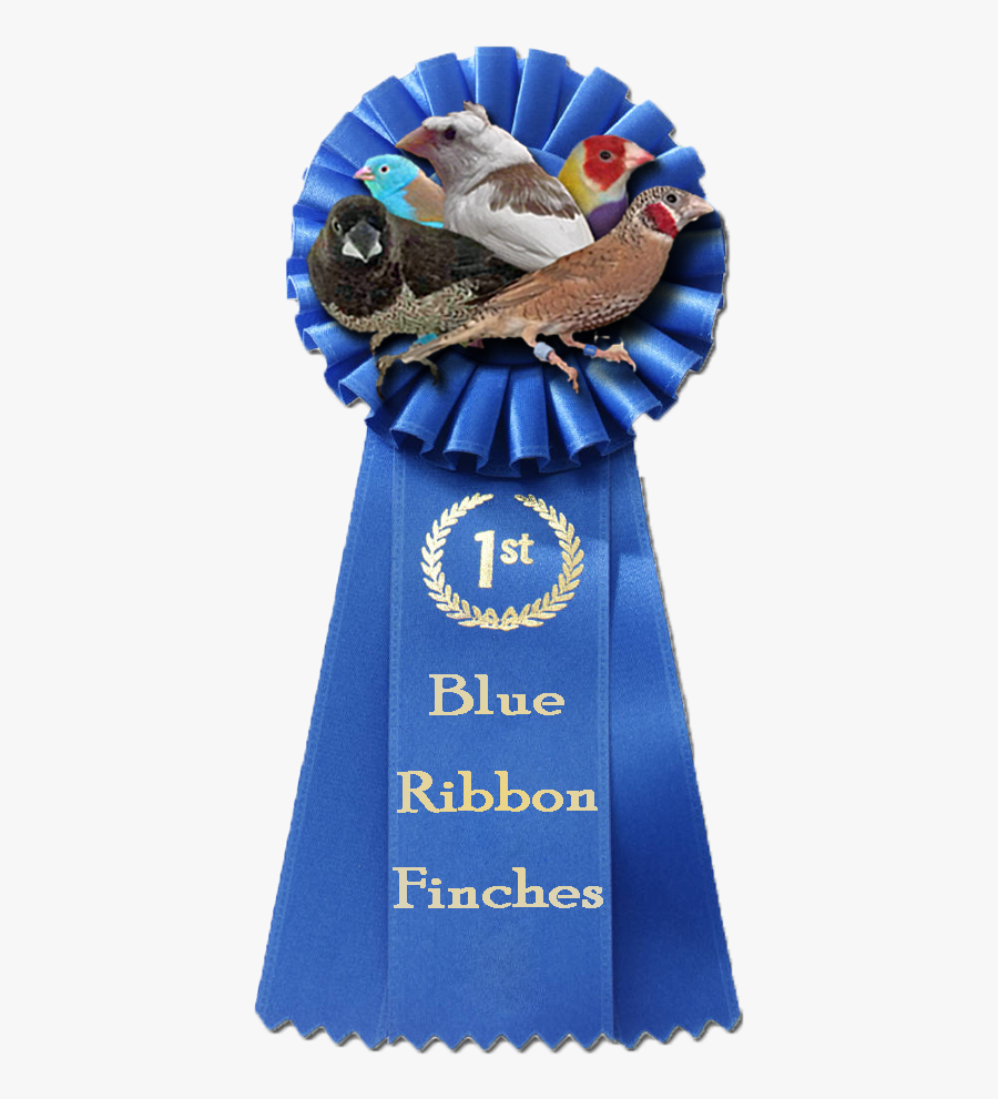 Transparent Blue Ribbon Bow Png - Transparent Background First Place Ribbon, Transparent Clipart