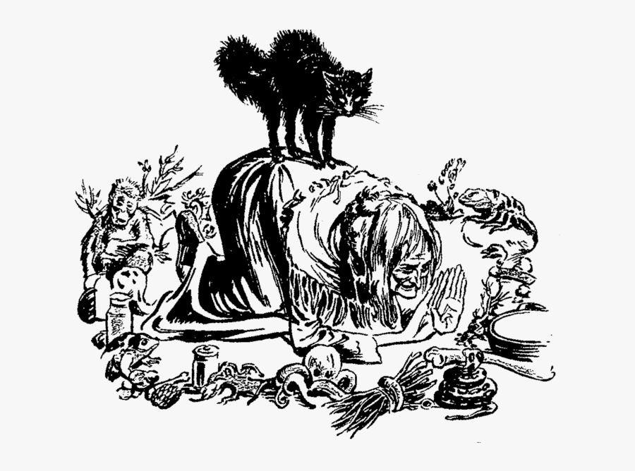 Witches Familiars A Look - Witch Familiars, Transparent Clipart