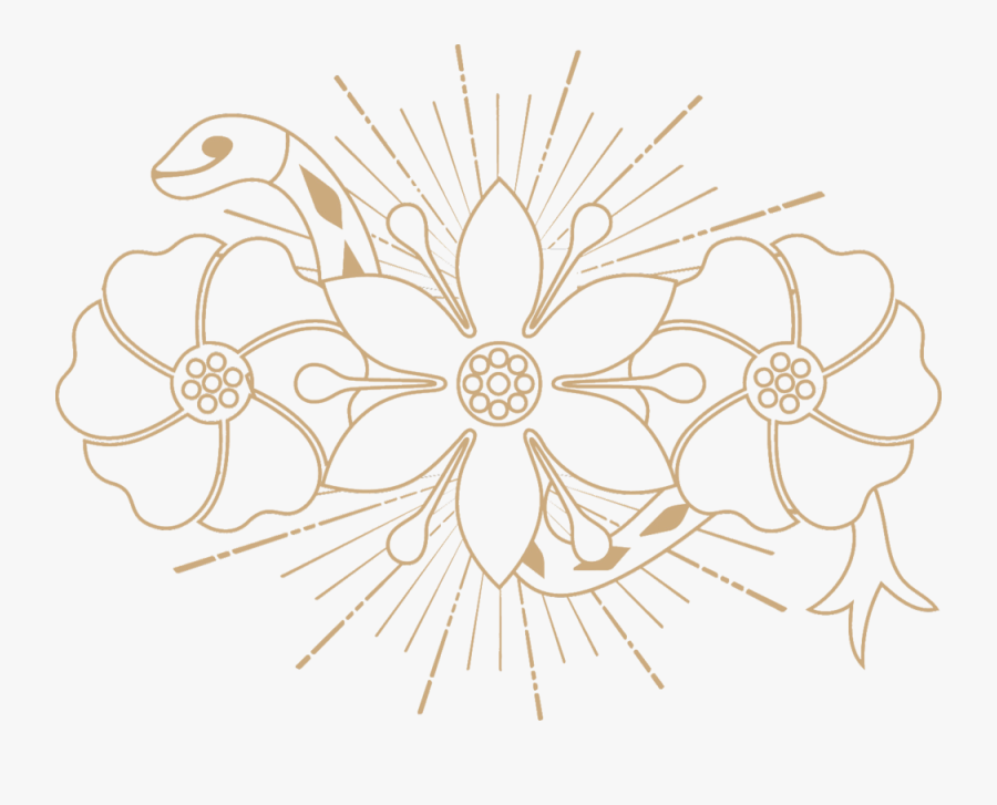 Circle, Transparent Clipart