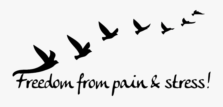 Clip Art Black Cuteness Bird Brand - Carrelage, Transparent Clipart