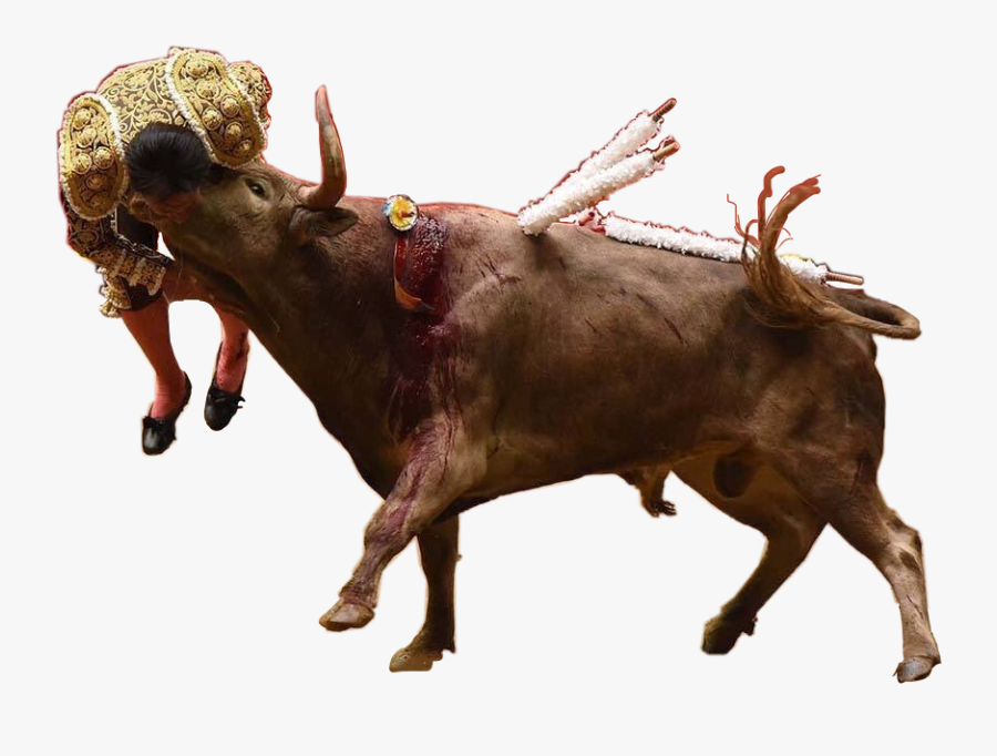 #ftestickers #man #bull #bullfighter #stickers #freetoedit - Bull, Transparent Clipart