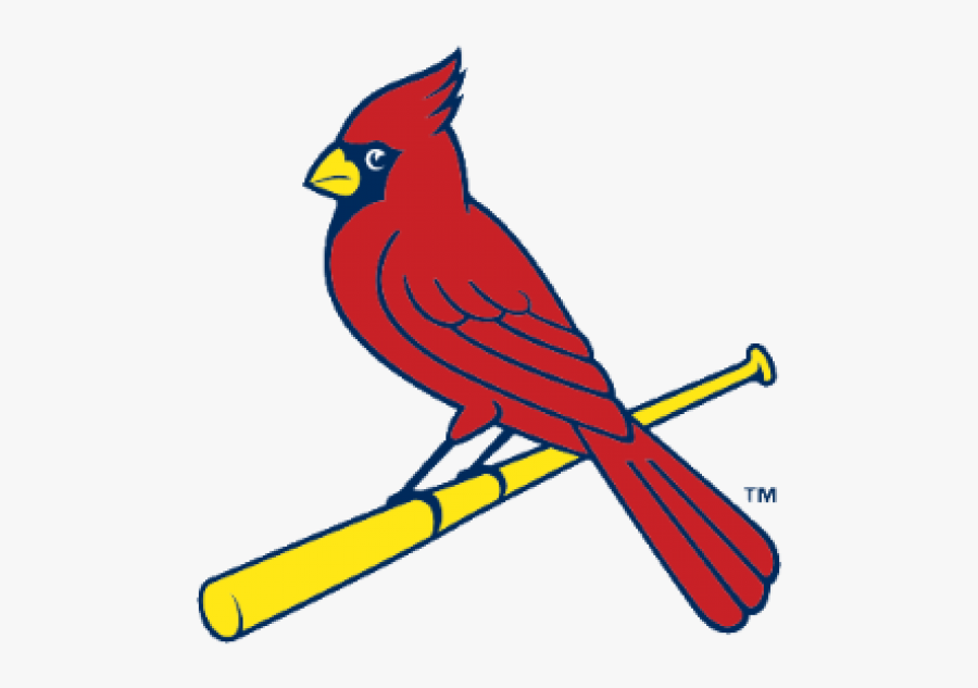 St Louis Cardinals Bird On Bat, Transparent Clipart