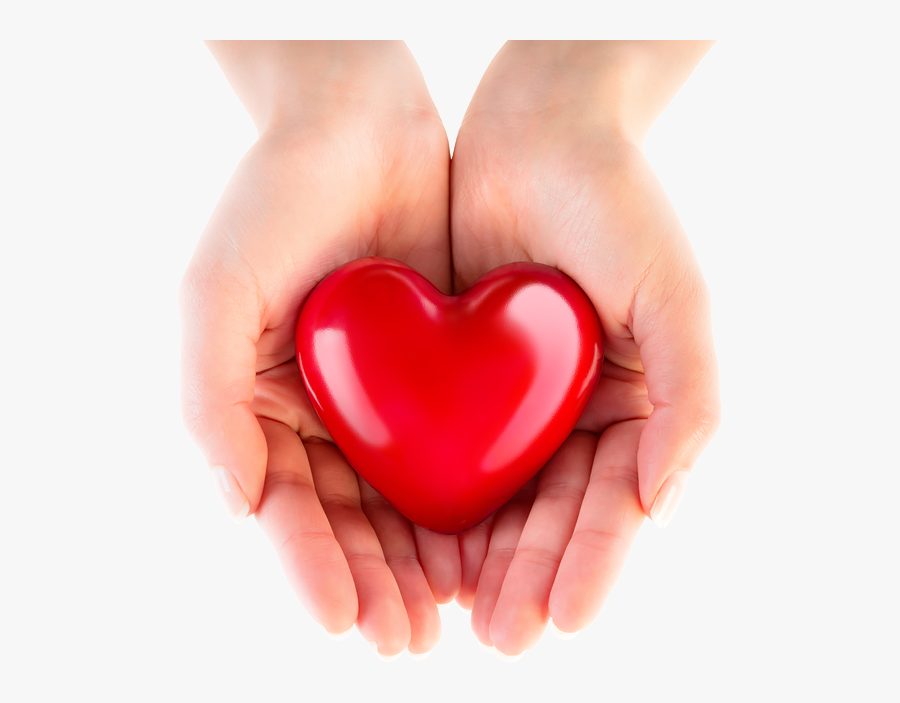 Transparent Hand Heart Png - Heart In Safe Hands, Transparent Clipart