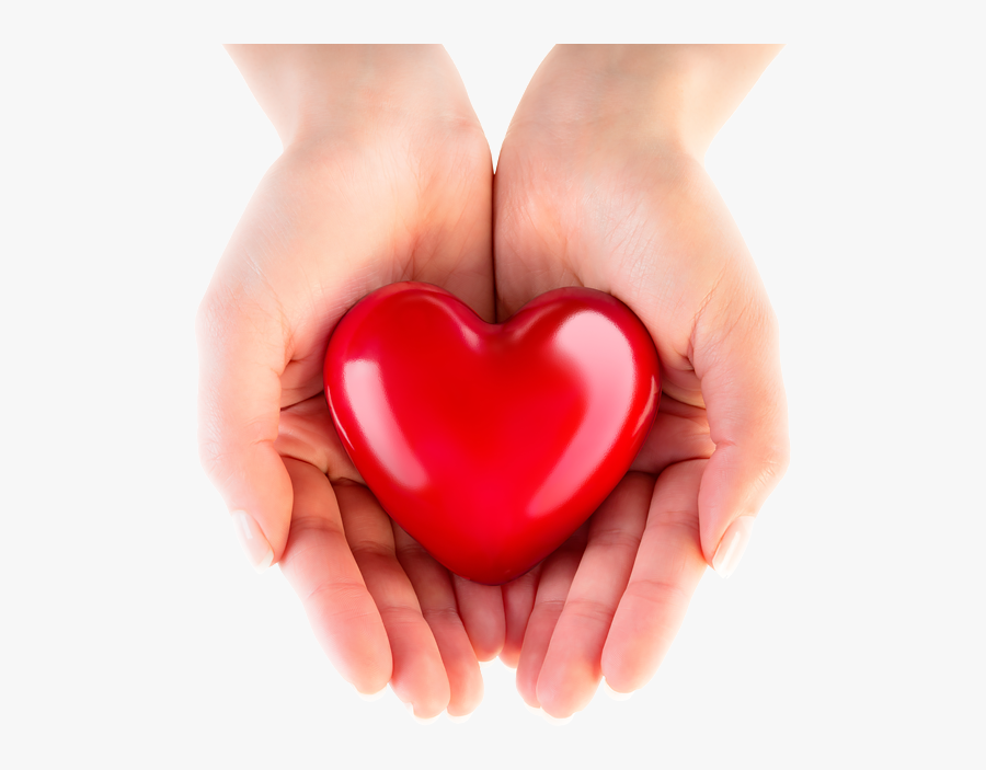 Transparent Hand Heart Png - Heart In Safe Hands , Free Transparent