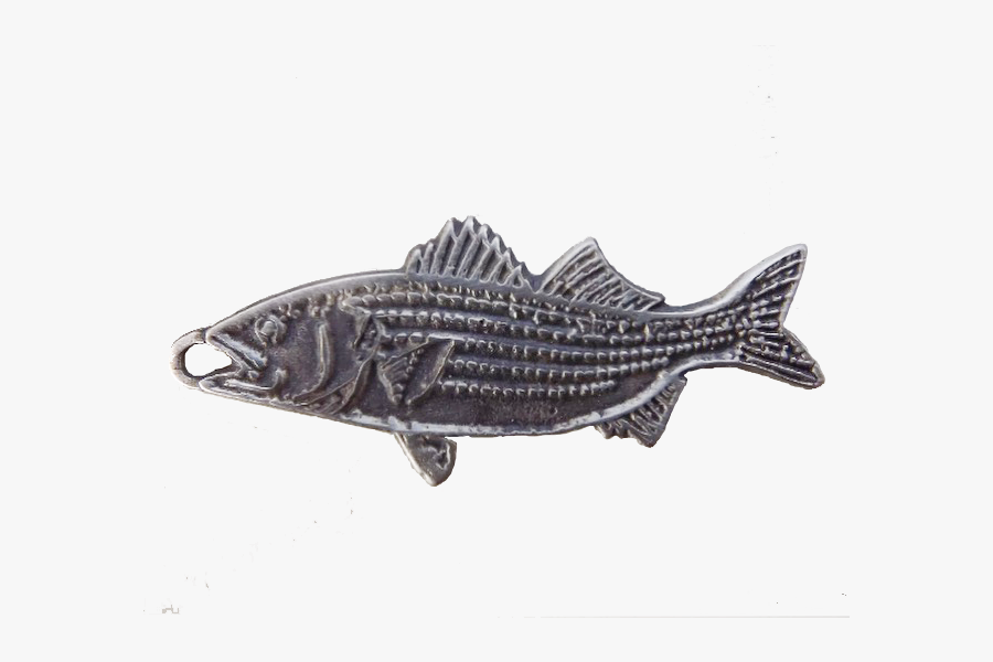 Transparent Striper Png - Striper Bass, Transparent Clipart
