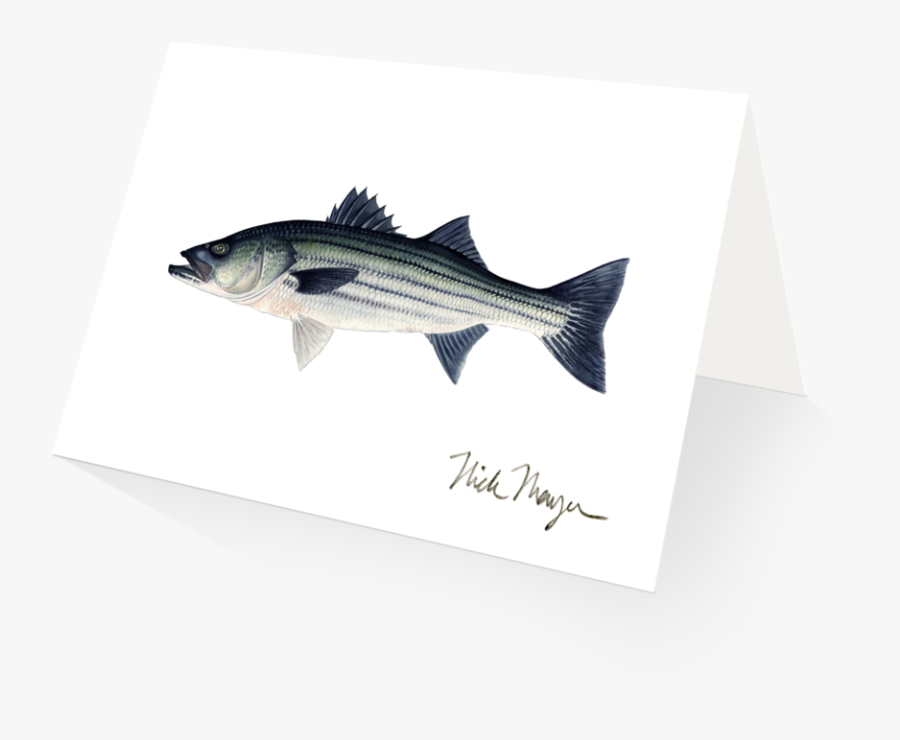 Striper Png -striper Bass, Hd Png Download - Striper Bass, Transparent Clipart