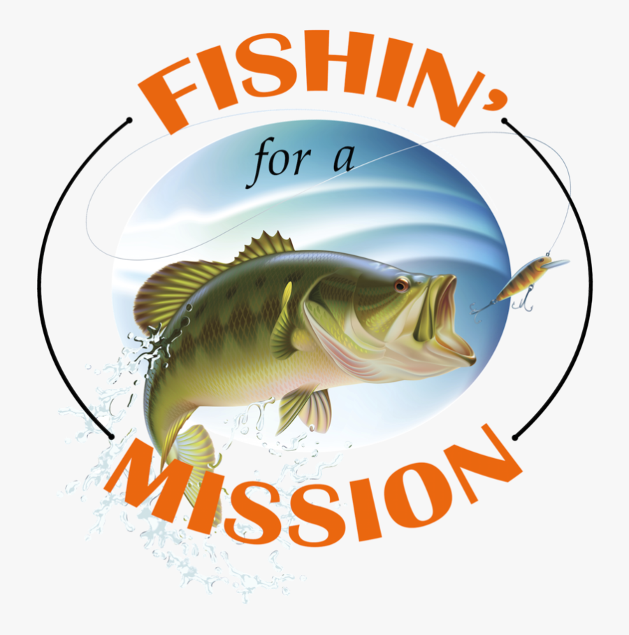 Bass Fishing Tournament - Bass, Transparent Clipart
