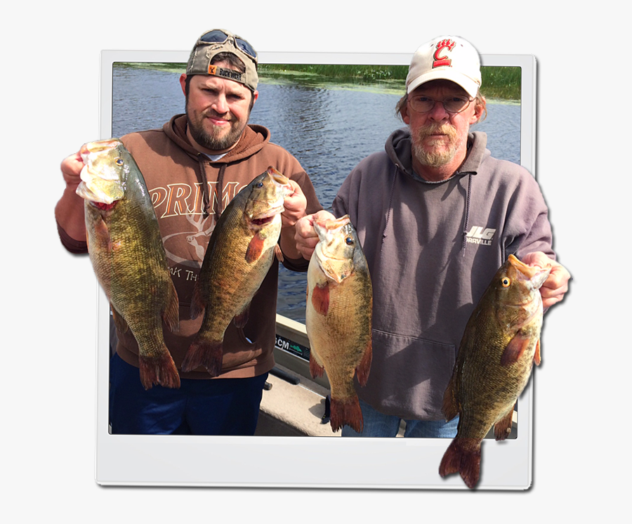 Lake Nipissing Bass Fishing, Transparent Clipart