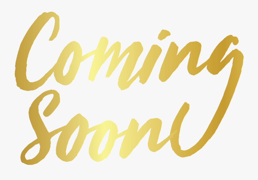 American Sports Education Program, Transparent Clipart