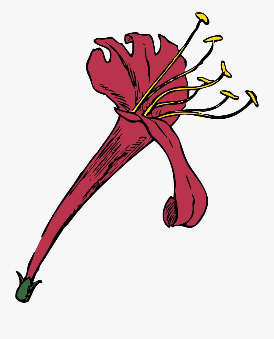 Honeysuckle - Honeysuckle Flower Clipart, Transparent Clipart