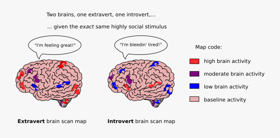 Brain Activity Introvert Vs Extrovert, Transparent Clipart