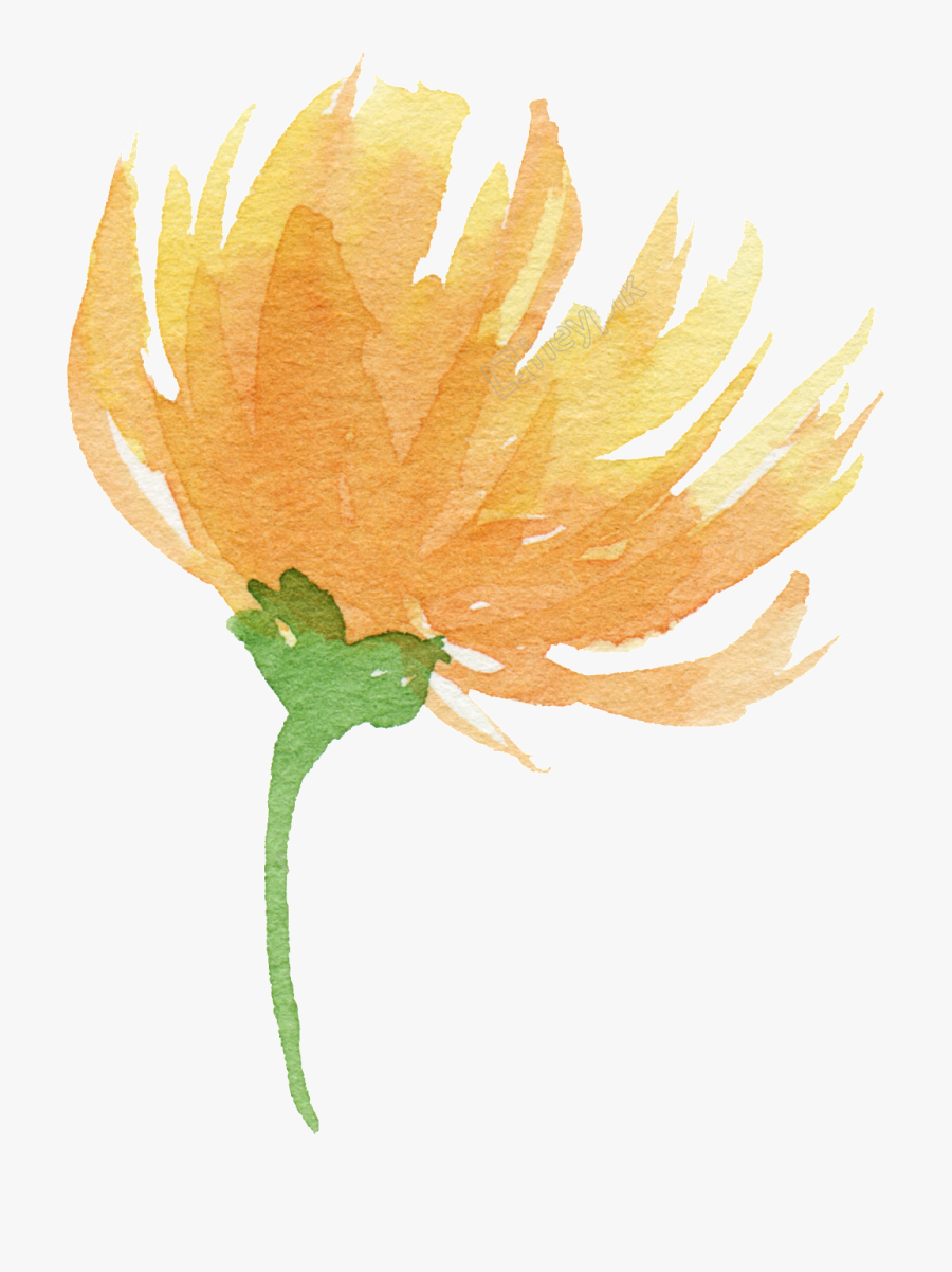 Transparent Fire Flower Png - Yellow Watercolor Flowers Png, Transparent Clipart