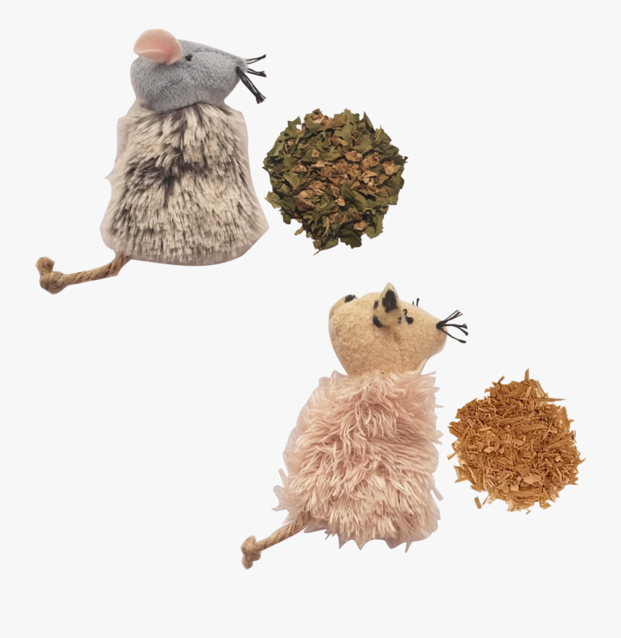 Honeysuckle Silver Vine Sample Pack - Actinidia Polygama, Transparent Clipart