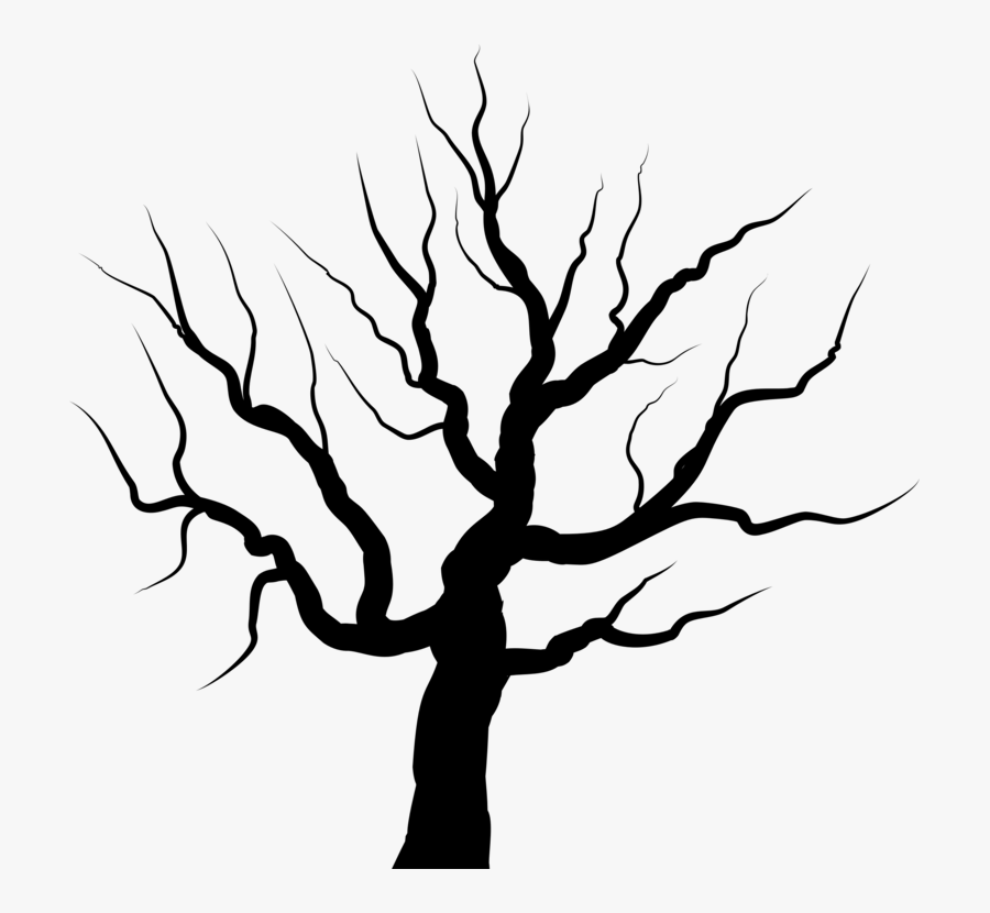 Botany,plant,leaf - Illustration, Transparent Clipart